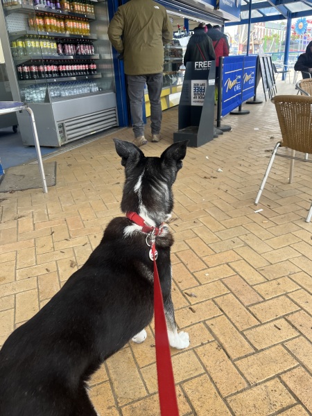 Gavin and Stacey - first time I've watched it! No spoilers please!