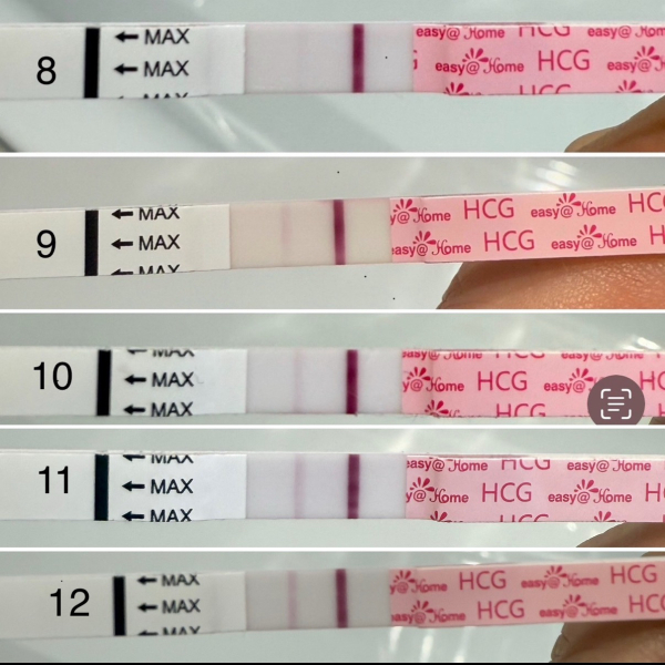 IVF/ICSI/FET December 2024