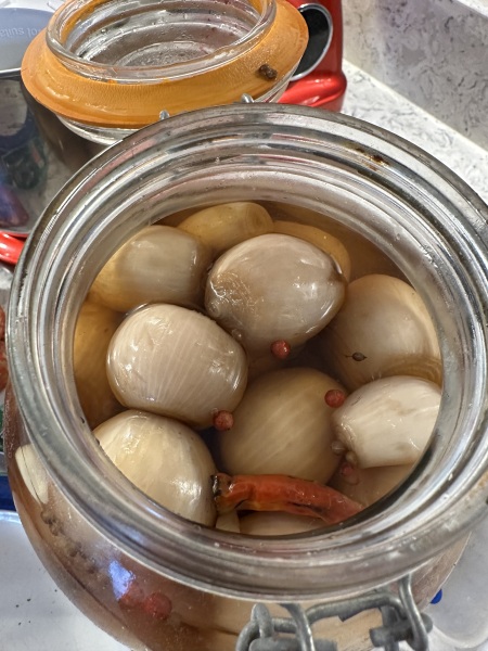 The Nigel Slater Christmas Chronicles Readalong 2024 Part 3