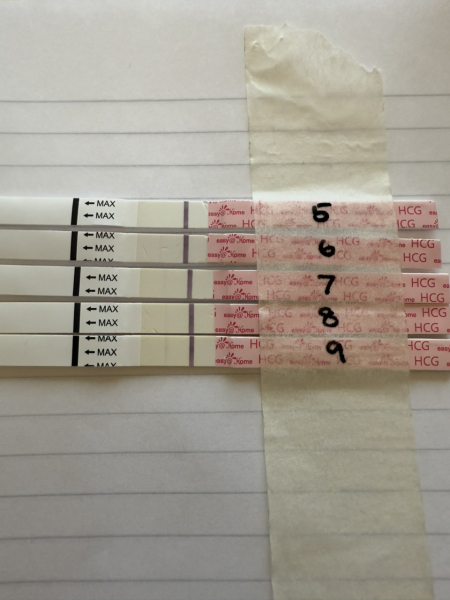 IVF/ICSI/FET December 2024