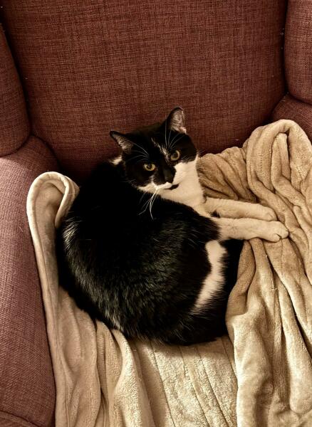 Heated blankets - what to do if they need a good wash?
