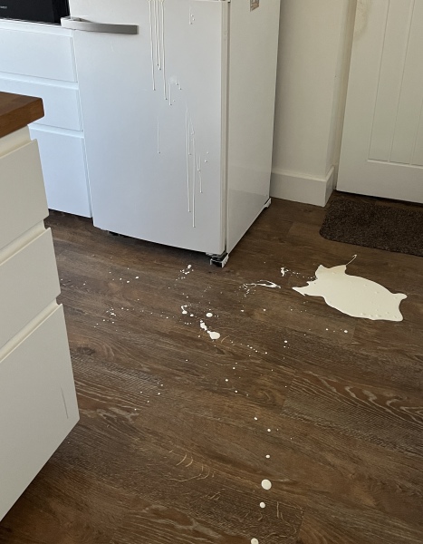 🎄🎄The official Christmas Fridge Thread🎄🎄