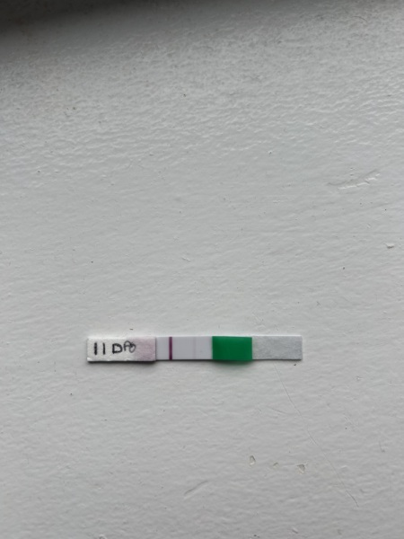 Early pregnancy