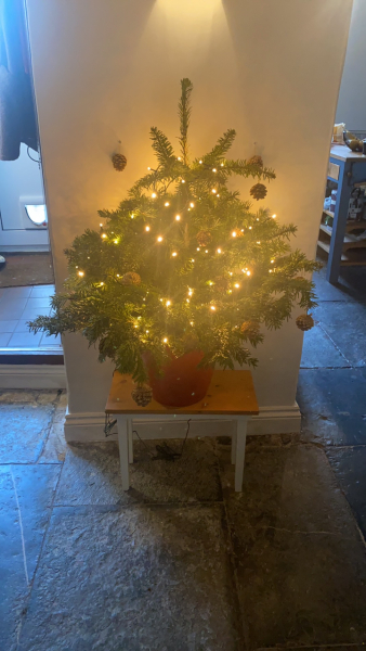 To not want the Christmas tree up