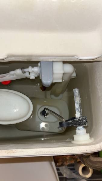 That a three week wait to fix a broken toilet isn't acceptable?