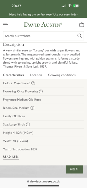 Anyone got a lovely burgundy coloured rose?