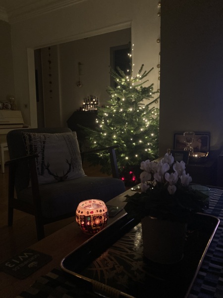 The Nigel Slater Christmas Chronicles Readalong 2024 Part 2