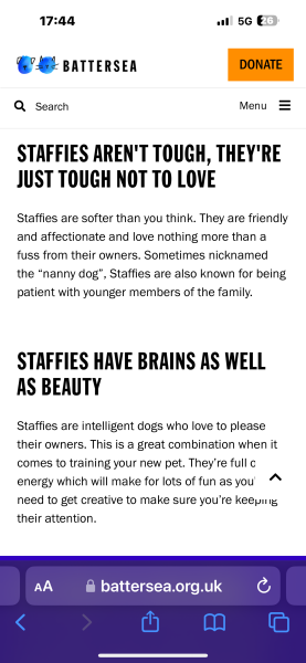 To say no to dog on holiday