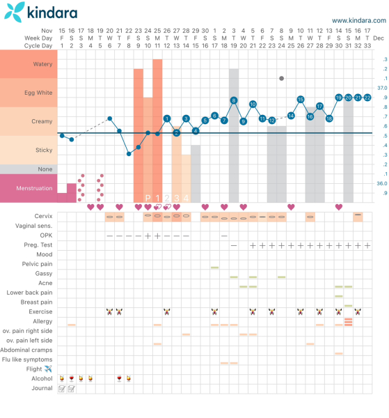 December TTC Support Group
