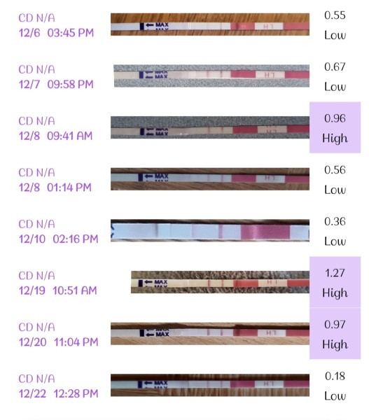 Can anyone make sense of my ovulation chart?