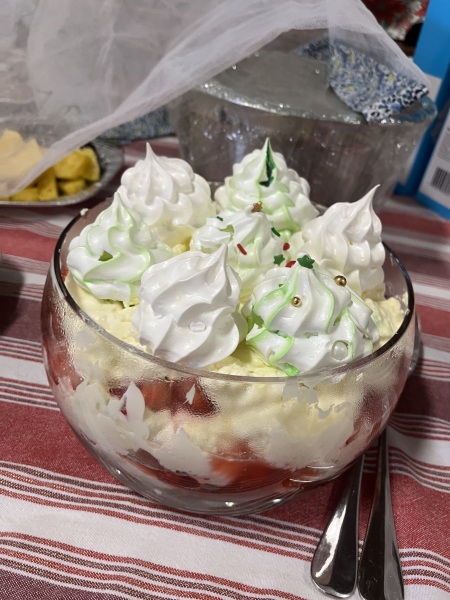 Poncetastic Christmas 2024