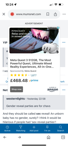 Huge adverts making site unusable