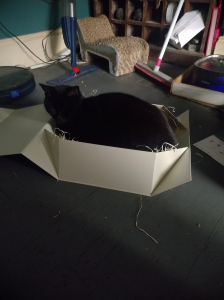 Tinsel, Glitter and Baubles - the Excellent Cats prepare to knock Everything off your Christmas Tree