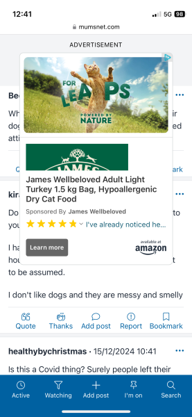 Huge adverts making site unusable