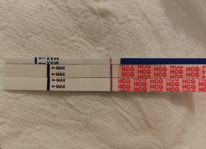 Just put me out of my misery!