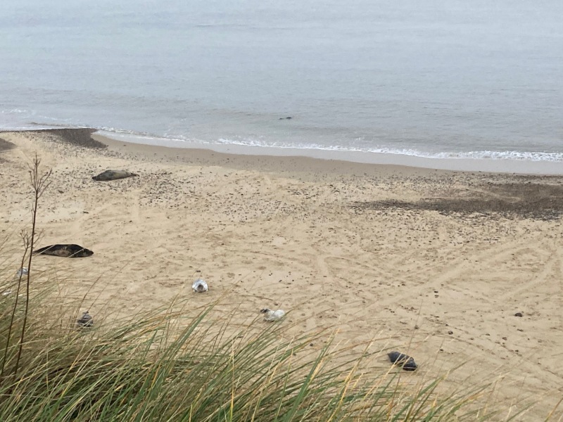 Come and tell us your dull and unexciting news 32: Calmly through the day