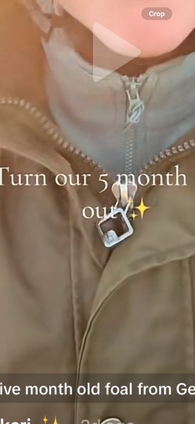 What brand of coat is this??