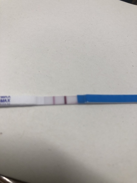 Help understanding pregnancy tests please!