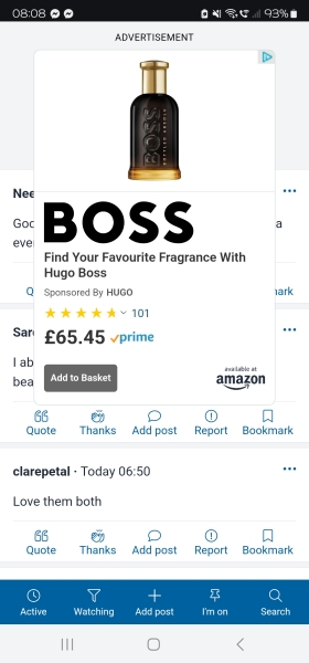 Huge adverts making site unusable