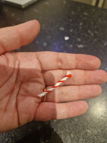 Cat just ate string (should I be worried?)
