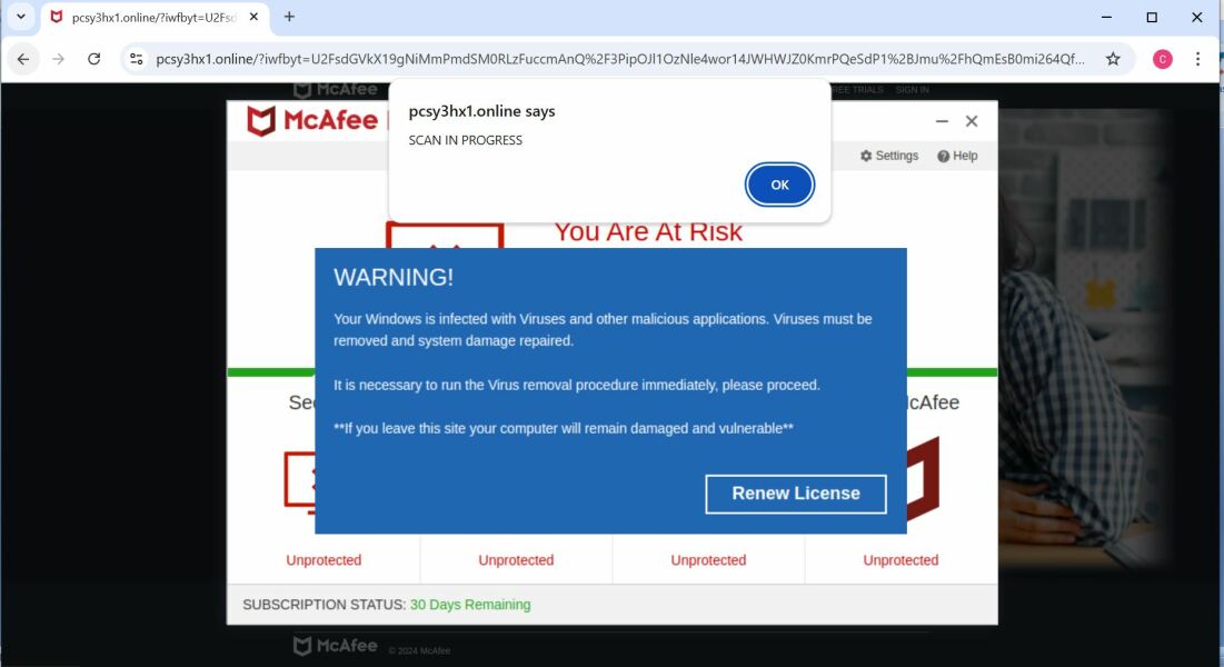 Virus scam appearing only  when on Mumsnet