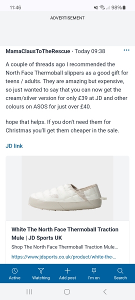 Slippers for DS17