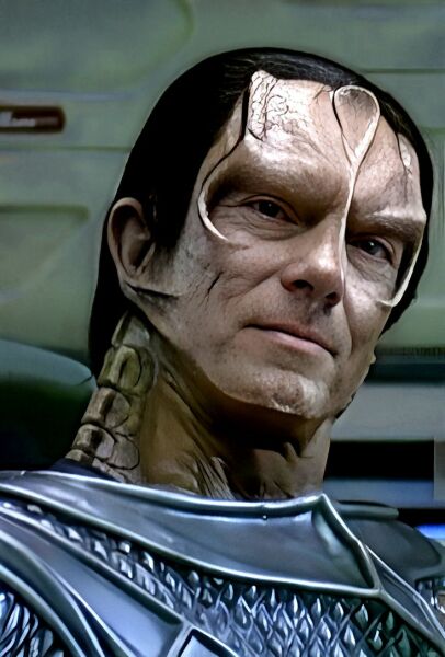 The Bluestocking - the one with the Christmas stocking