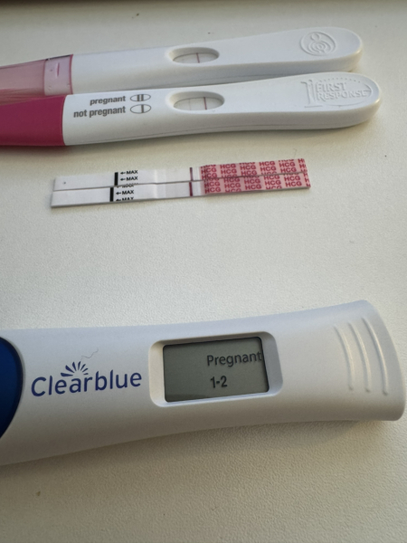 December TTC Support Group