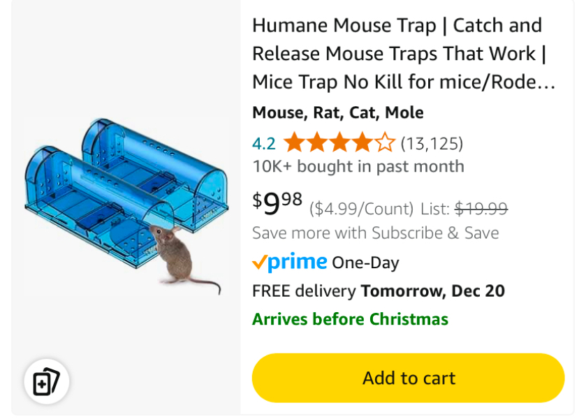 Mice in the house 🤢