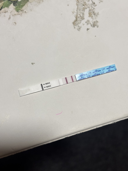 Ovulation - build up?