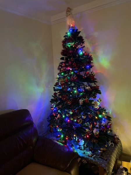 Show us your Christmas trees