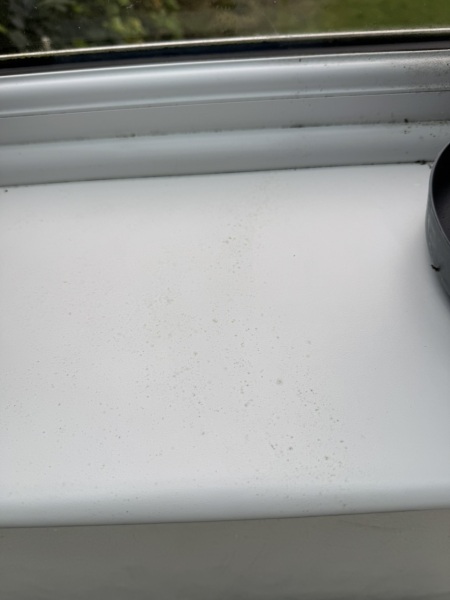 Black mould stains removal