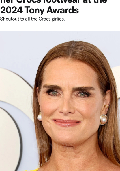 AIBU to think famous women don't look worse because they age, it's because of the surgery.