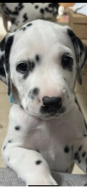 Mounjaro August starters thread 9 (OMG)