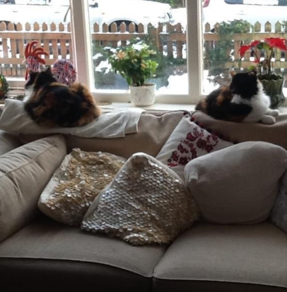 The Nigel Slater Christmas Chronicles Readalong 2024 Part 3