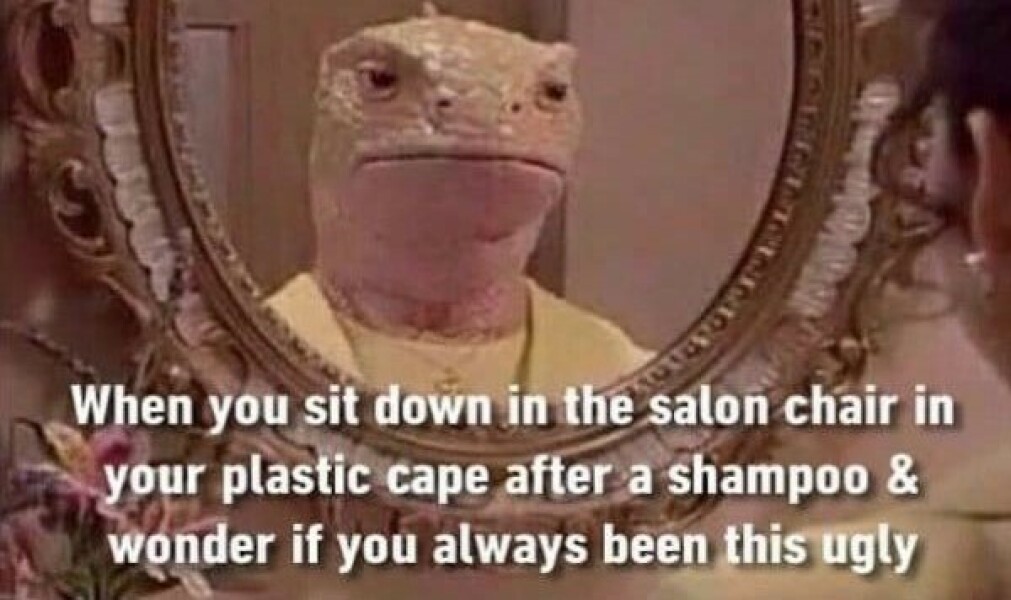 What's the longest you've been without a haircut?