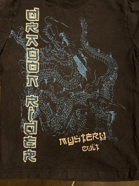 Any idea where to find something like this (dragon, teen, girl)?