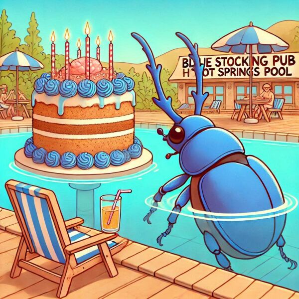 The Bluestocking - the one with the Christmas stocking