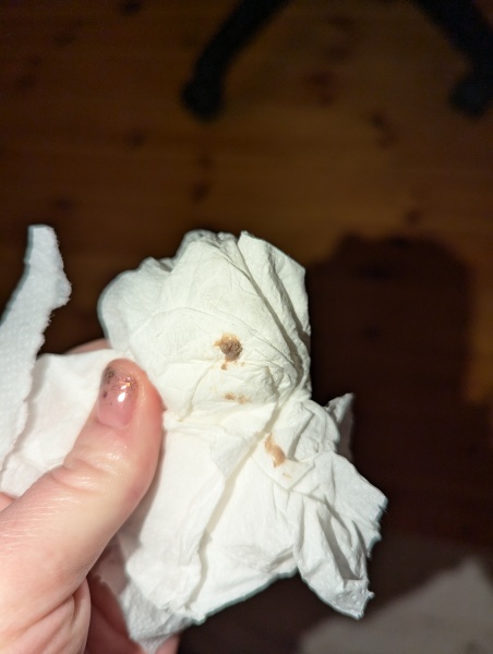 Negative test brown discharge