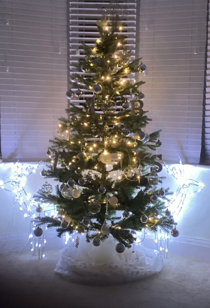 Show us your Christmas trees