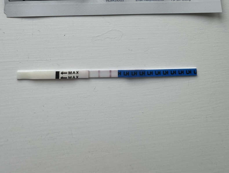 Ovulation test lines