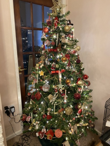 Show us your Christmas trees