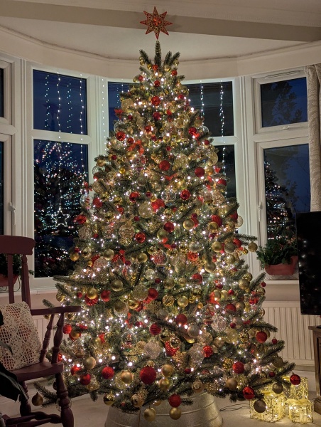 Poncetastic Christmas 2024