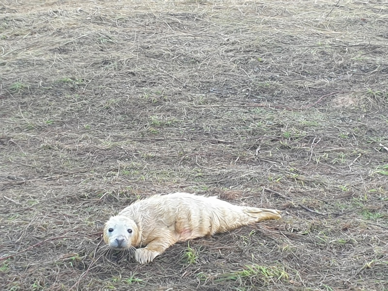 Thread 52 - Covid GCSE Cohort - Autumn 24 - Start of Uni Yr 3