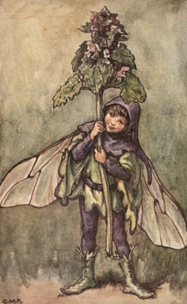 4 year old son has asked for fairy wings and wand for Christmas