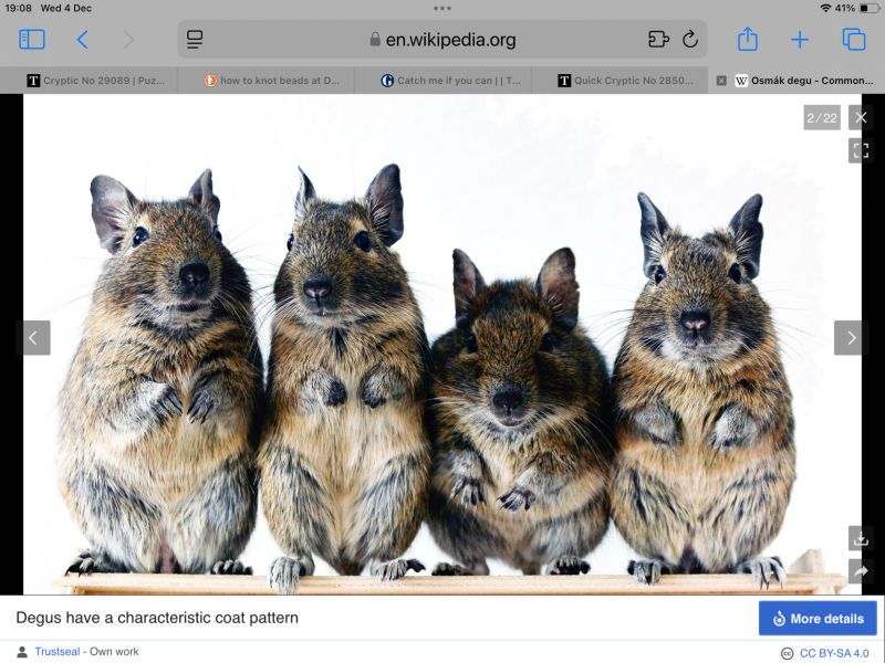 Bluestocking: the one where Boiled gets to the bar first!