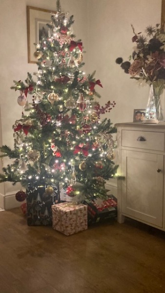 Show us your Christmas trees
