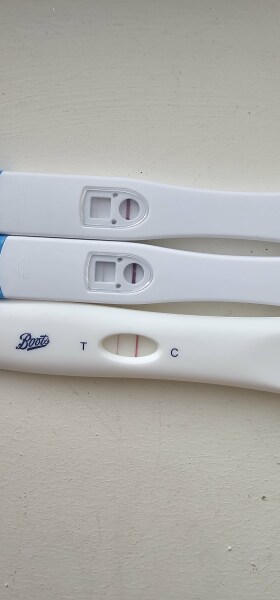 IVF/ICSI/FET December 2024