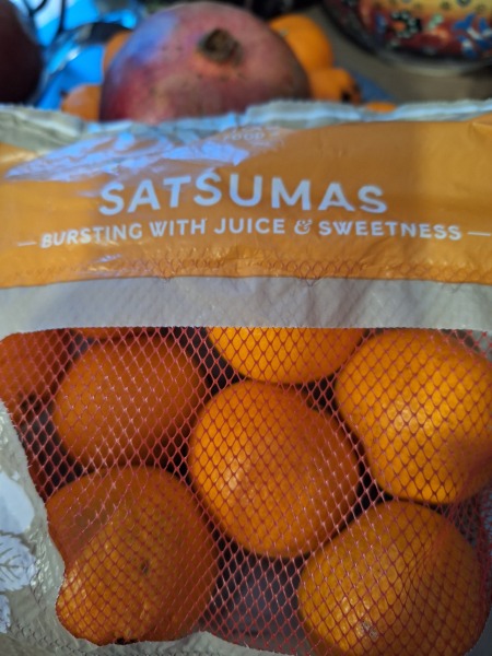 The Nigel Slater Christmas Chronicles Readalong 2024 Part 3