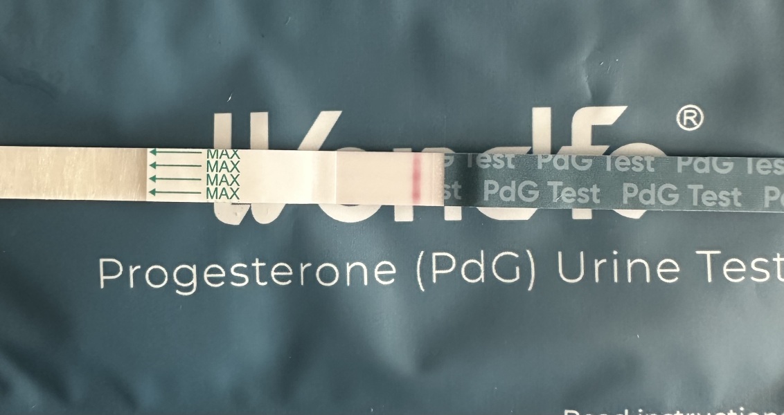 December TTC Support Group